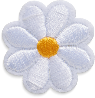 Isolated Cutout PNG